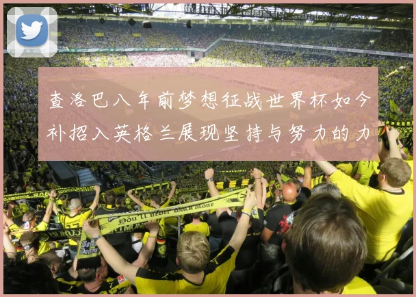 查洛巴八年前梦想征战世界杯如今补招入英格兰展现坚持与努力的力量