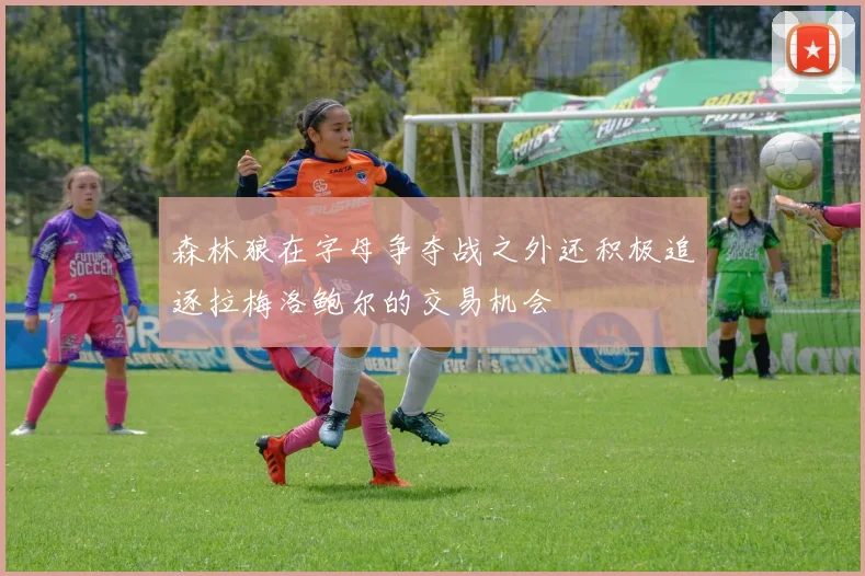 森林狼在字母争夺战之外还积极追逐拉梅洛鲍尔的交易机会